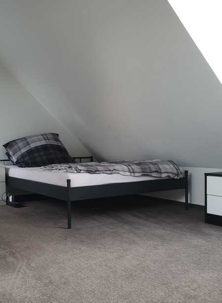 Single kreis mettmann